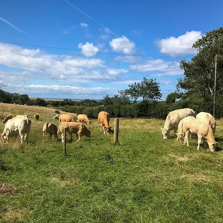 Dom wakacyjny Ferndene *