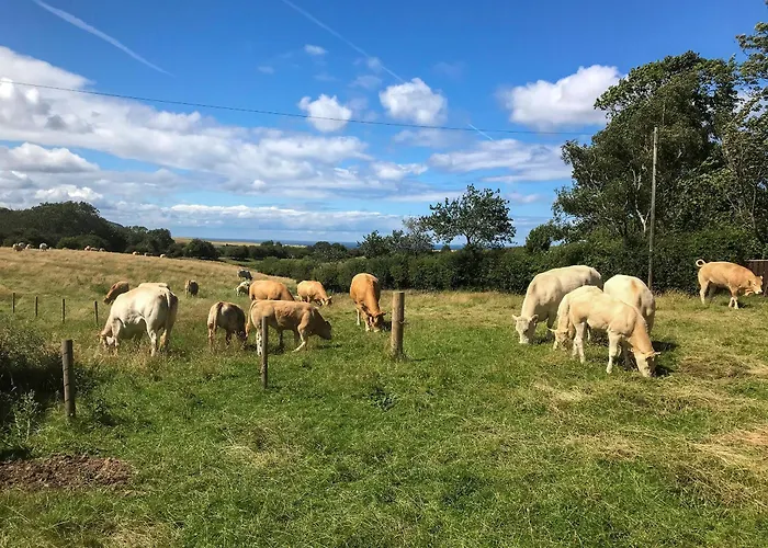 Ferndene بيت للعطل